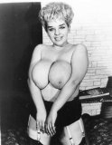 Click to view big image RetroPlumper17.jpg
